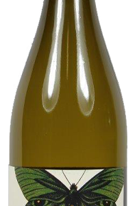 vin effet papillon blanc