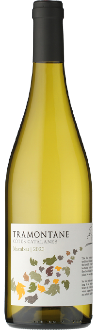 vin blanc tramontane macabeu