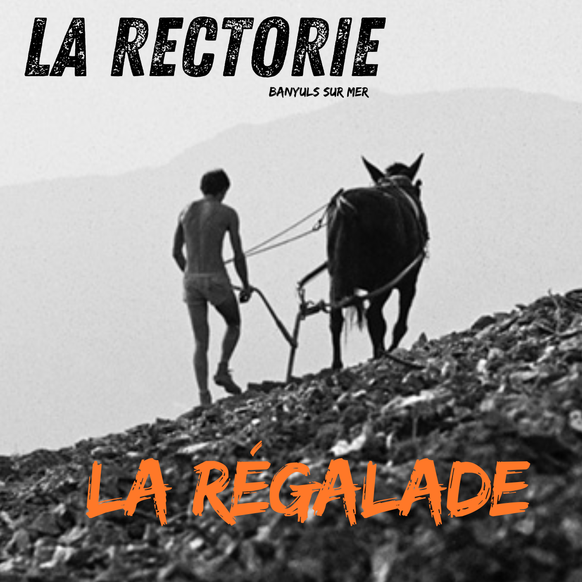 dégustation rectorie